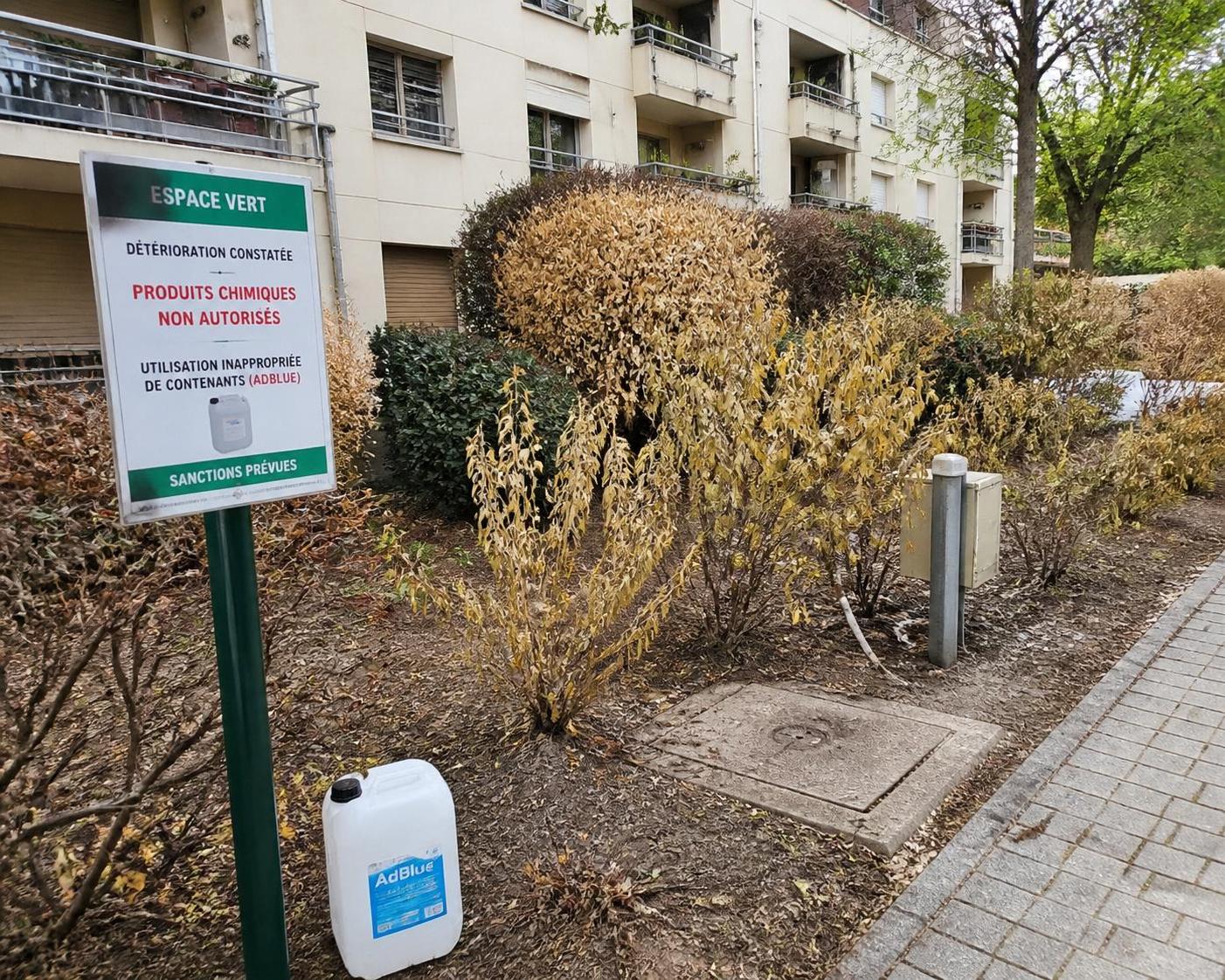 Adblue désherbant : usage détourné de produits chimiques et risques pour les réseaux d'assainissement urbains 2 découvrez les dangers liés à l'utilisation détournée de l'adblue comme désherbant et ses impacts sur les réseaux d'assainissement urbains. informez-vous sur les risques environnementaux et les solutions possibles.