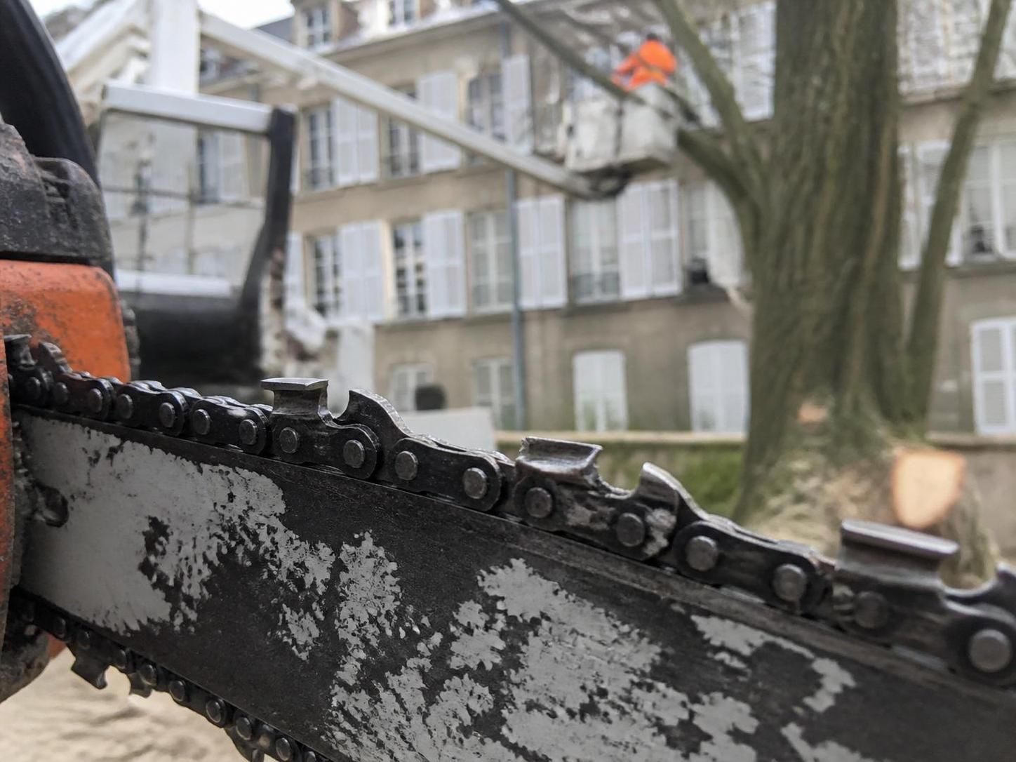 apprenez à affûter une chaîne de tronçonneuse efficacement pour un entretien optimal du matériel, essentiel à la gestion des espaces arborés urbains.